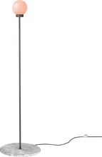 Load image into Gallery viewer, Pare Floor Lamp 01