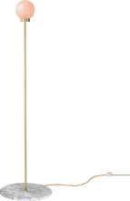 Load image into Gallery viewer, Pare Floor Lamp 01