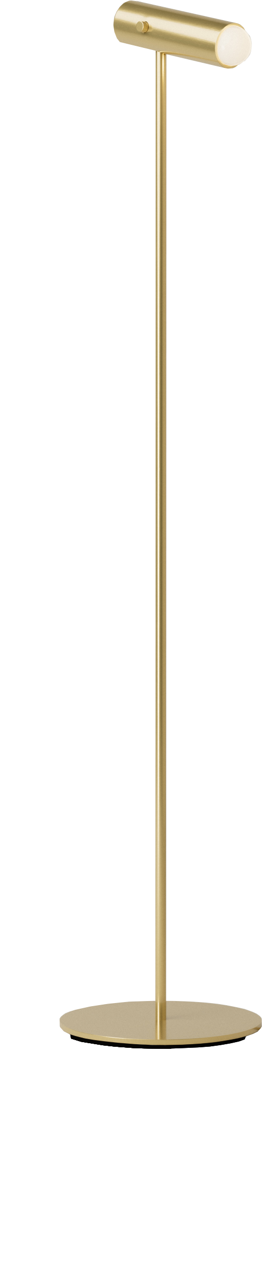 Spot Floor Lamp